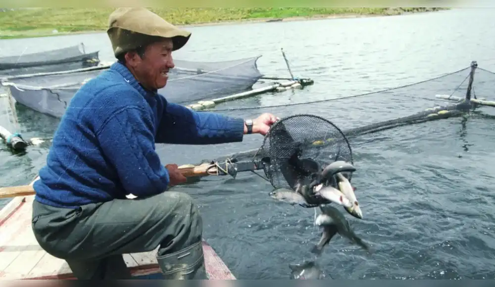 Lanzan plan conjunto para recuperar la pesca en el Lago Titicaca Lanzan plan conjunto para recuperar la pesca en el Lago Titicaca