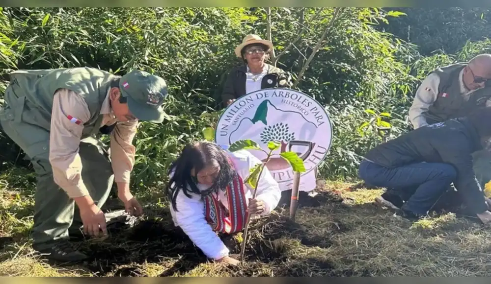 “Un millón de árboles”: campaña para reforestar santuario de Machu Picchu “Un millón de árboles”: campaña para reforestar santuario de Machu Picchu