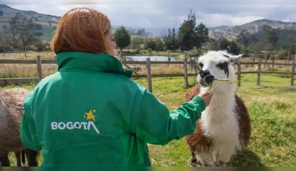 Colombia da enorme paso contra la explotación animal Colombia da enorme paso contra la explotación animal
