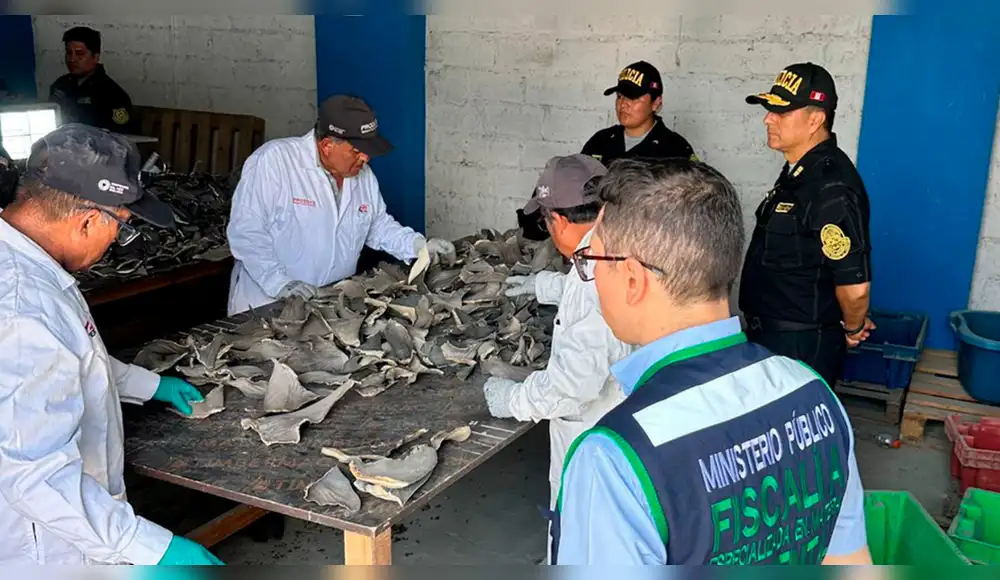 Clausuran en Trujillo planta clandestina donde se procesaban especies hidribiológicas Clausuran en Trujillo planta clandestina donde se procesaban especies hidribiológicas