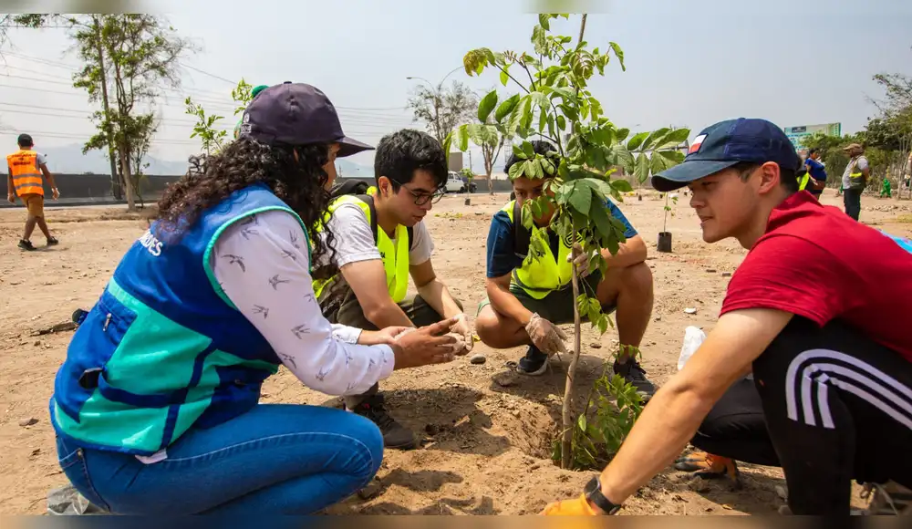 Perú busca plantar 2,5 millones de árboles solo en el primer semestre del 2026 Perú busca plantar 2,5 millones de árboles solo en el primer semestre del 2026