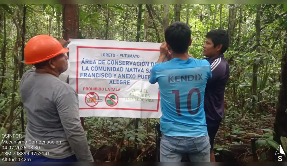 Comunidades amazónicas de Loreto compensan multas forestales protegiendo los bosques Comunidades amazónicas de Loreto compensan multas forestales protegiendo los bosques
