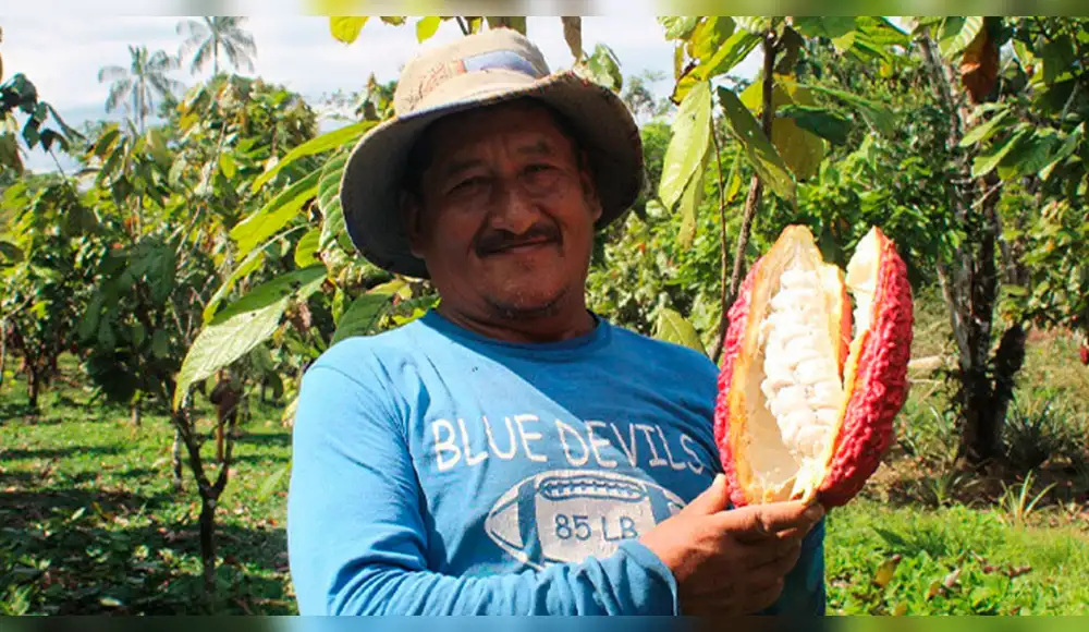 Productores de cacao se benefician con entrega de abono orgánico
