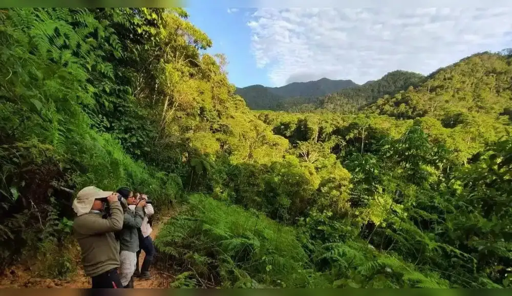 SERFOR deja sin protección la mayor parte del patrimonio natural del país bajo nueva propuesta técnica