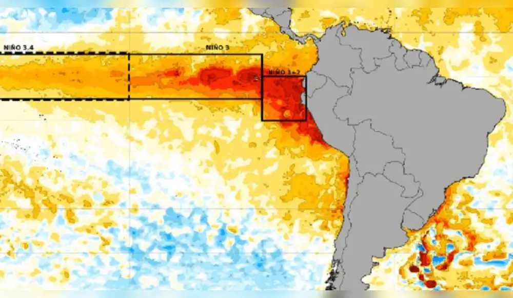 OMM: Niño Global se presentará desde mediados del 2026 OMM: Niño Global se presentará desde mediados del 2026