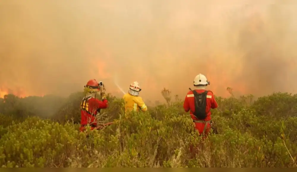 Incendios forestales amenazan 488 distritos del Perú