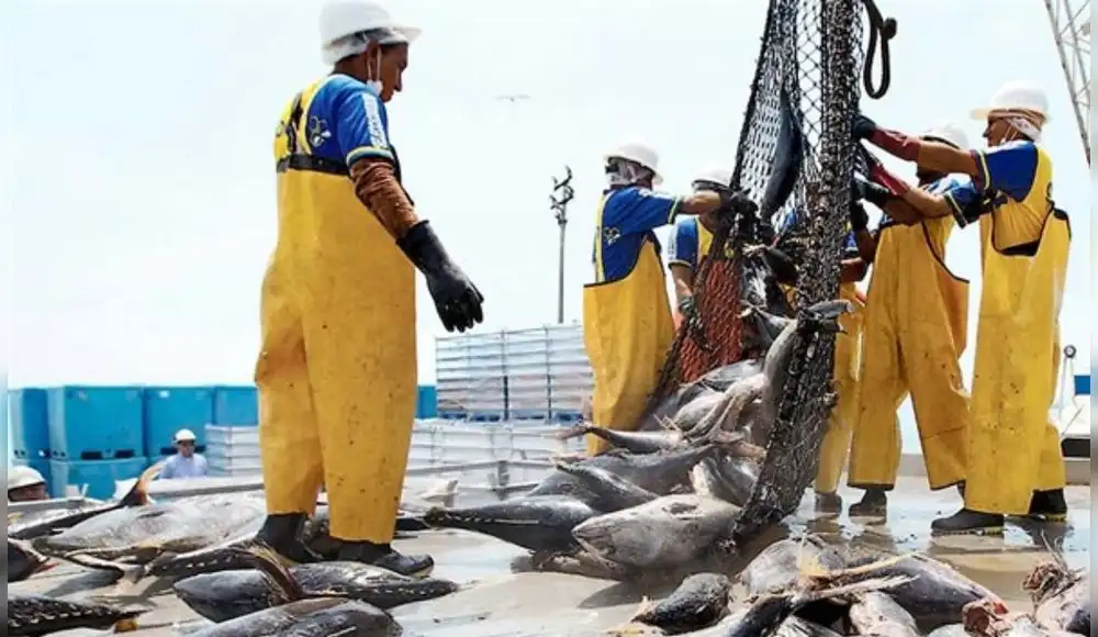 Congreso: fuerte presión para que no se apruebe ley que protege reservas marinas de la pesca industrial