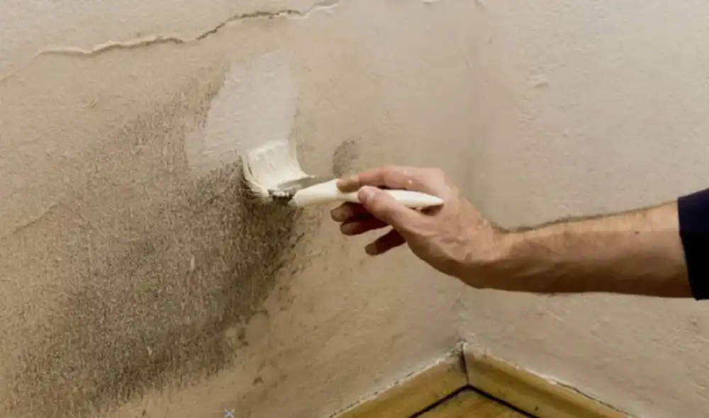Eliminar la humedad de los techos y paredes de tu casa no tiene que ser una tarea costosa. Foto: difusión humedad casa
