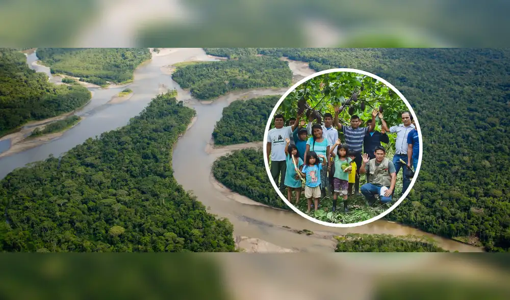 Proyecto Bosques