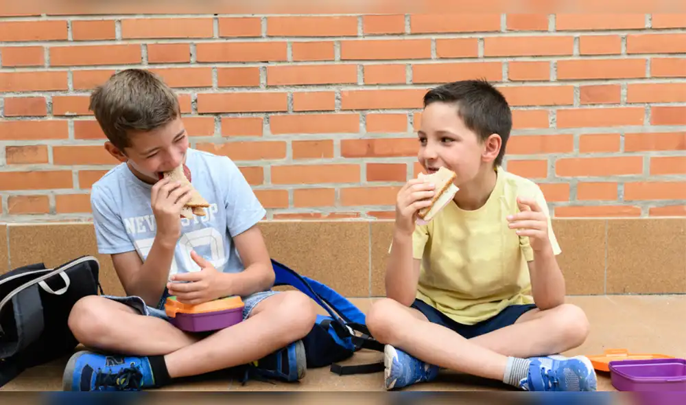 Consejo busca replicar el modelo de alimentación de otros países. Fuente: Shutterstock. Consejo busca replicar el modelo de alimentación de otros países. Fuente: Shutterstock.