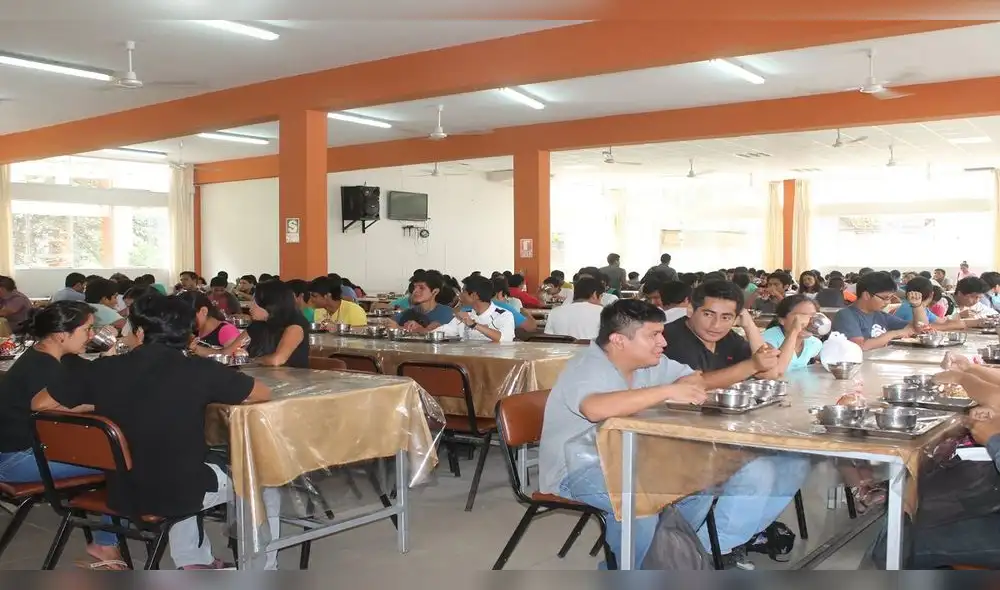 Diversas universidades han tomado la delantera en la implementación de comedores sostenibles. COMEDOR