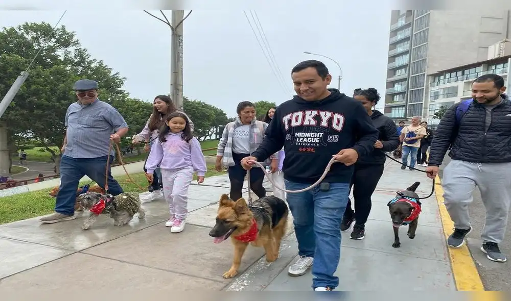 Miraflores se presenta como un distrito que no solo ofrece comodidad y seguridad, sino que también se adapta a las nuevas dinámicas familiares. MIRAFLORES