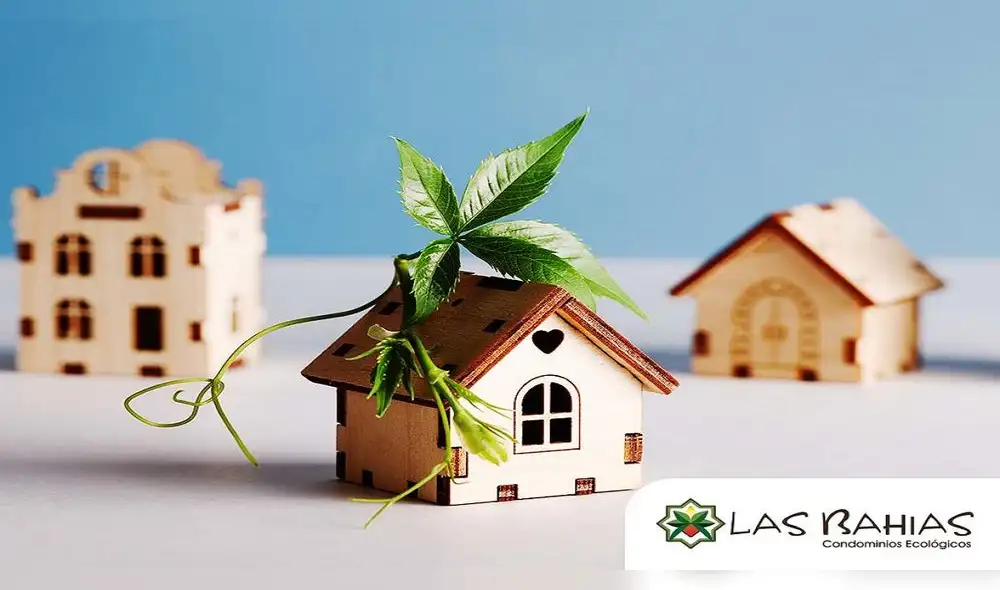 Crear un jardín sostenible que utilice plantas nativas y técnicas de paisajismo que requieran menos agua puede ser un gran atractivo para los compradores.