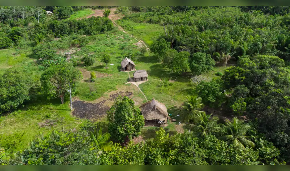 La Amazonía está protegida por estos ciudadanos que aman a su patria. Fuente: Shutterstock.