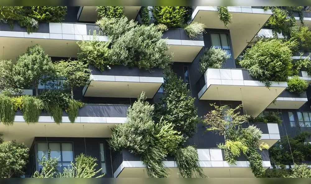 ARQUITECTURA VERDE