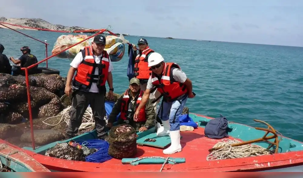 La transformación digital en la pesca artesanal de Perú mejora la planificación y reduce tiempos improductivos. Fuente: Difusión.