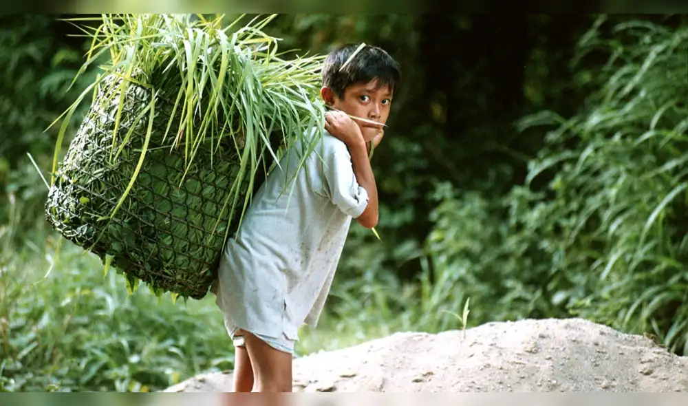 trabajo-infantil