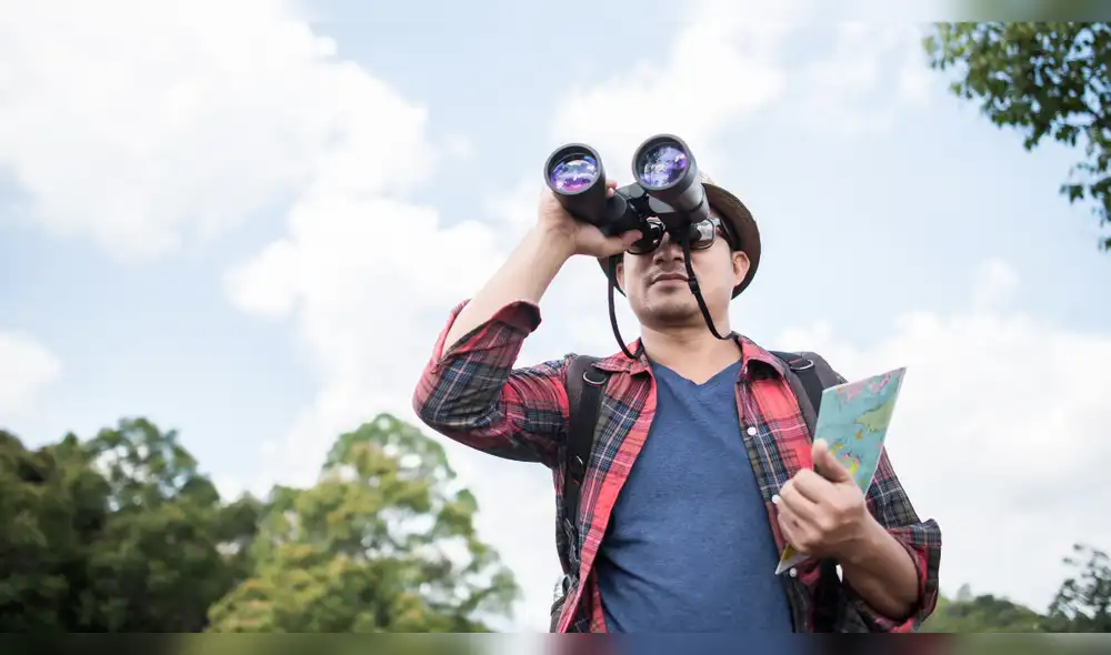 La observación de aves puede frenar el deterioro cognitivo natural del envejecimiento, sumándose a actividades protectoras como aprender idiomas o tocar instrumentos, manteniendo la agilidad mental. Foto: Envato observacion-de-aves