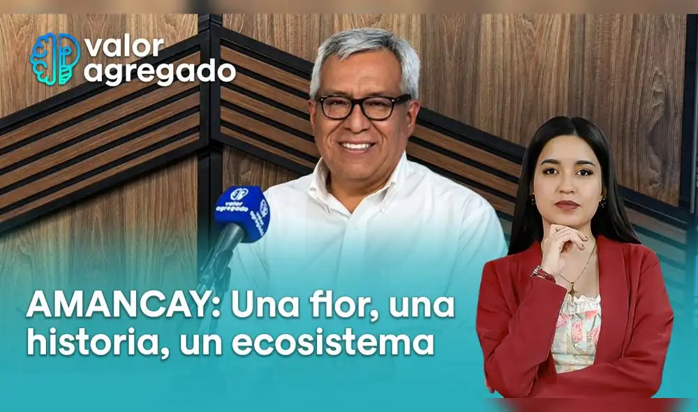 Entrevista a Pedro Gamboa. Foto: difusión. lomas-de-amancay