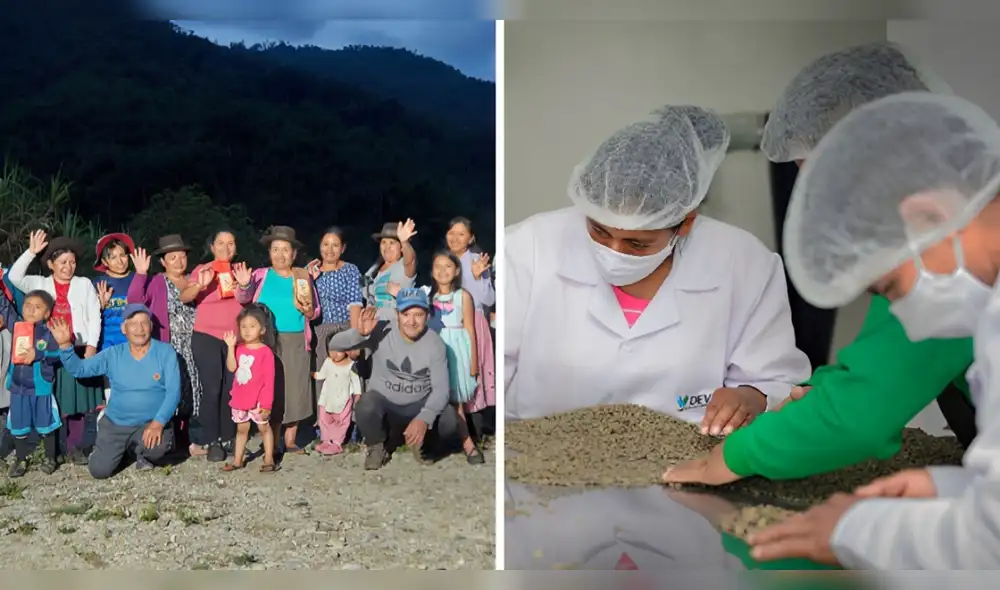 mujeres-cafetaleras-de-ayacucho