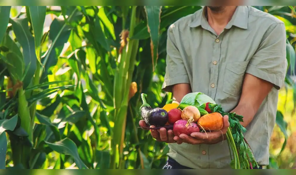 exportaciones-frutas-hortalizas