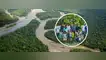 Proyecto Bosques