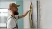 probelmas estruccturales