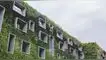 condominios
