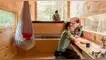 vivienda futuro
