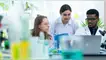 Las revistas científicas peruanas han crecido en contenido académico, destacándose por sus estándares de indexación internacional. Foto: Envato