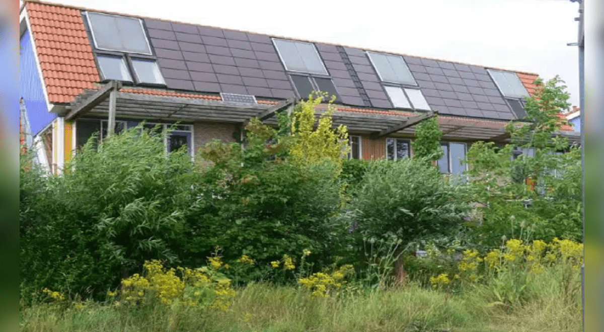 Casas ecoamigables: ¿qué características buscar y cómo pueden mejorar tu calidad de vida y ahorro a largo plazo? Casas ecoamigables: ¿qué características buscar y cómo pueden mejorar tu calidad de vida y ahorro a largo plazo?