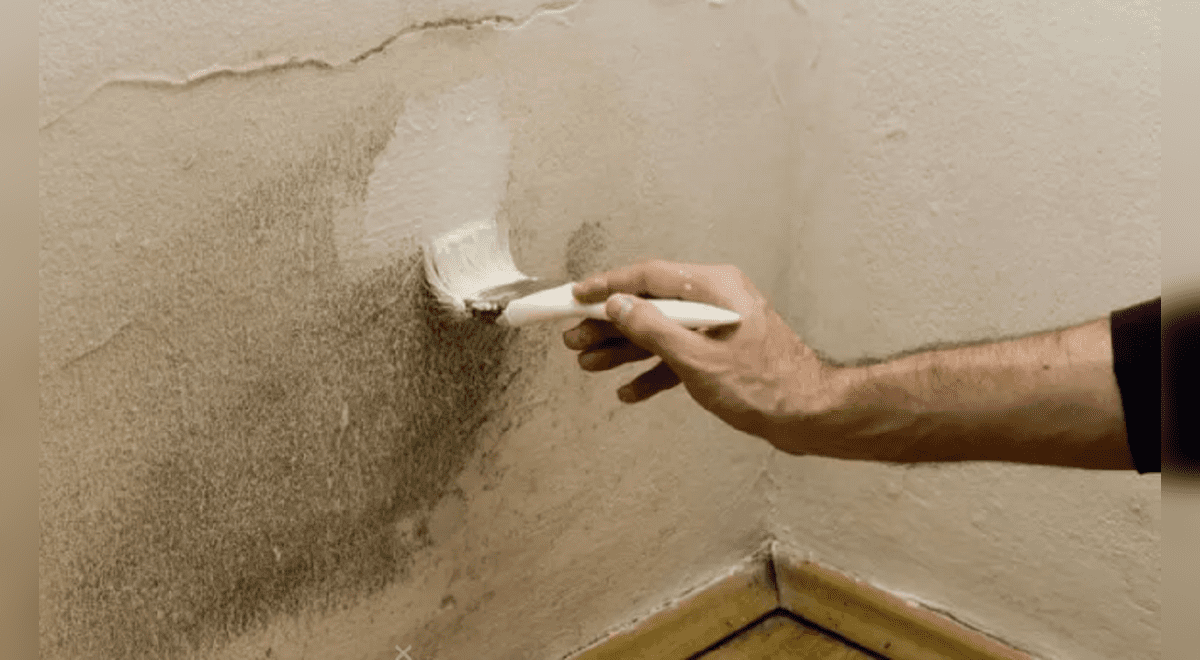 Trucos caseros para eliminar la humedad de los techos y paredes de tu casa sin obras costosas Trucos caseros para eliminar la humedad de los techos y paredes de tu casa sin obras costosas