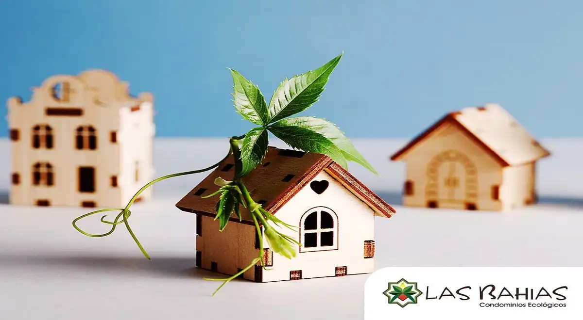 Cinco cambios sostenibles que aumentan el valor de tu vivienda en el mercado actual