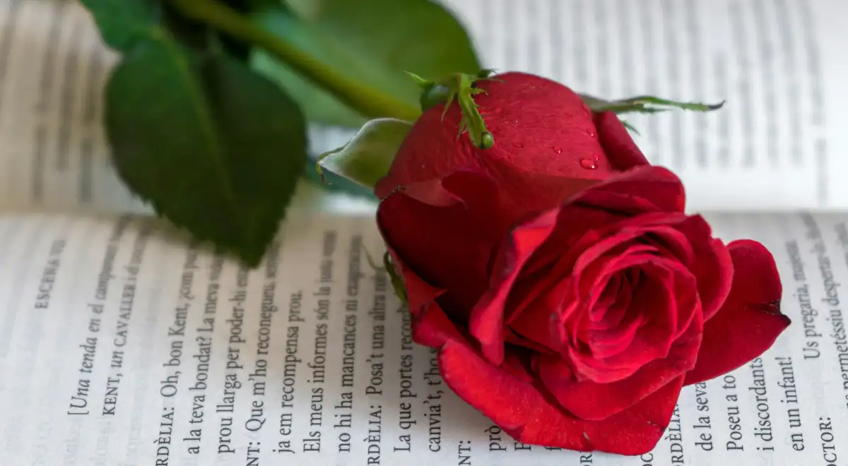 Por qué se regalan libros y rosas a los lectores el 23 de abril