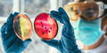 Cambio climático agravará problema de resistencia a los antimicrobianos