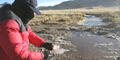 Alerta en Puno por heladas de gran intensidad