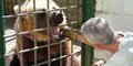 España: Osos serán trasladados a santuario tras 33 años de cautiverio