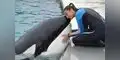 Muere conocida orca que vivió durante 33 años en cautiverio