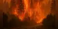 Chile: Incendios forestales dejan 19 muertos y más de 50.000 evacuados