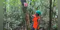Comunidades nativas custodian más de 245 hectáreas de bosques