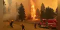 Incendios forestales arrasan 157 millones de hectáreas