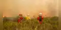 Incendios forestales amenazan 488 distritos del Perú