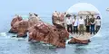 Minam impulsa conservación de ecosistemas marino-costeros en Ica