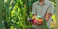 Exportaciones de frutas y hortalizas crecen 14,9%: Perú superó los US$3.900 millones