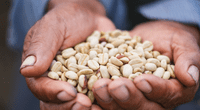 Día del Campesino: conoce la comunidad que huyó del terror y ahora produce café ecoamigable