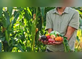 Exportaciones de frutas y hortalizas crecen 14,9%: Perú superó los US$3.900 millones