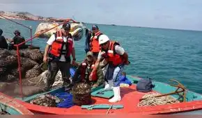 Pesca artesanal en Perú: el rol de la IA para mejorar la trazabilidad y sostenibilidad