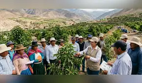 Empresa minera Southern Perú brinda capacita a agricultores de Torata para mejorar cultivos de palta y damasco