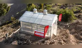 Minería y agro se articulan en Moquegua: productores de orégano mejoran su producción con secado solar y eólico