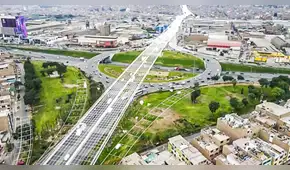 Más de 48 mil árboles para Lima: la megaobra que multiplicará las áreas verdes en la capital